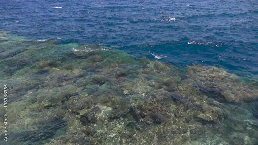 Sea waves on the tropical coral reef top, slow motion 240 fps, full hd 1080p video footage Sea waves on the tropical coral reef top, slow motion 240 fps, full hd 1080p video footage