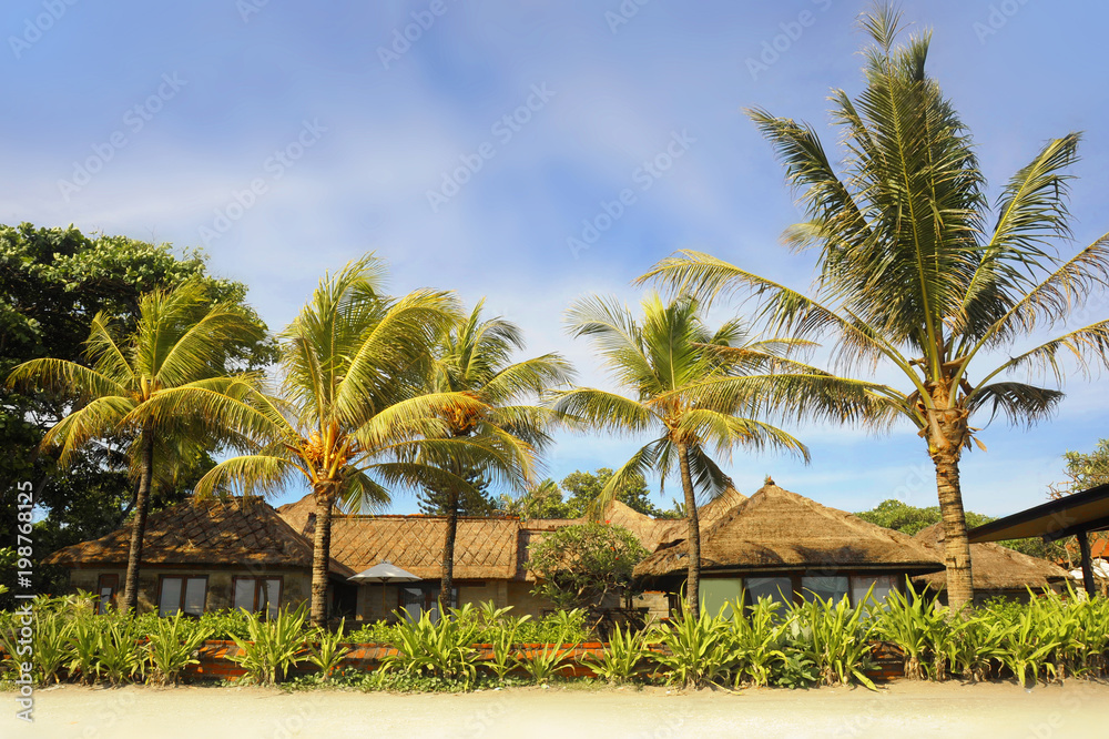beautiful landscape Summer tropical scenery of palm trees and  beach resort under a blue sky in Bali island of Indonesia in Asia vacation travel concept