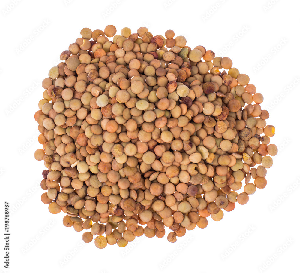 Scattering of lentils on white background closeup Scattering of lentils on white background closeup