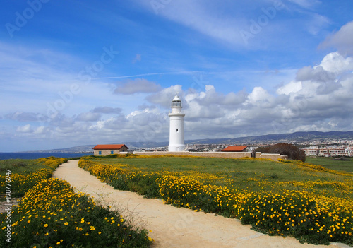 the old lighthouse in paphos cyprus surrounded by historic buildings with spring flowers growing alongside a path leading to the sea with bright blue sky and white clouds © Philip J Openshaw 