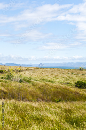 Green Meadow, View of Morrow Bay and cliffs, panorama landscape, in Estero Bluffs State Park