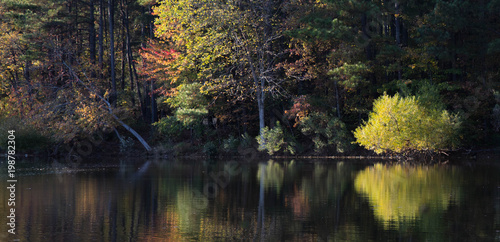 Looking across a lake at the opposite shoreline with reflections in the water.