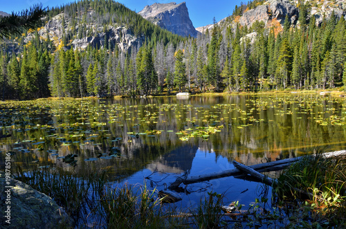Nymph Lake at Rocky Mountain National Park Colorado © John Hoffman