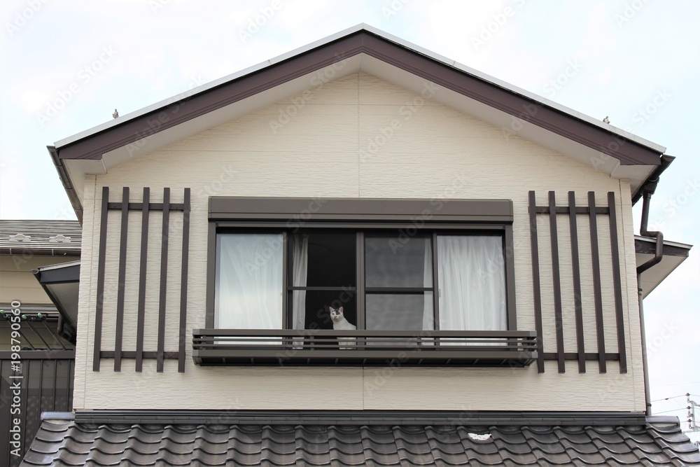 通りを眺める猫/2階の窓から通行人をじっと眺める猫。外に出たいけどじっと留守番をしているおりこうさんです。