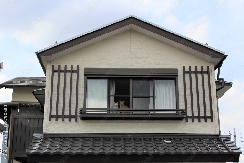 猫のカップル/2階の窓から通行人をじっと眺める猫。外に出たいけどじっと留守番をしているおりこうさんです。二匹は退屈しながらも主人の言いつけをちゃんと守ってじゃれたりしながら遊び平凡な毎日を幸せに暮らしています。