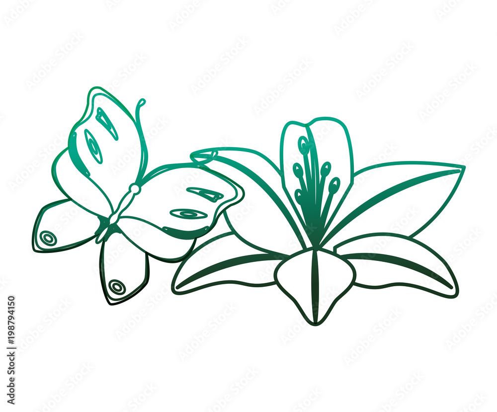 cute lily flowers and butterfly decoration cute lily flowers and butterfly decoration