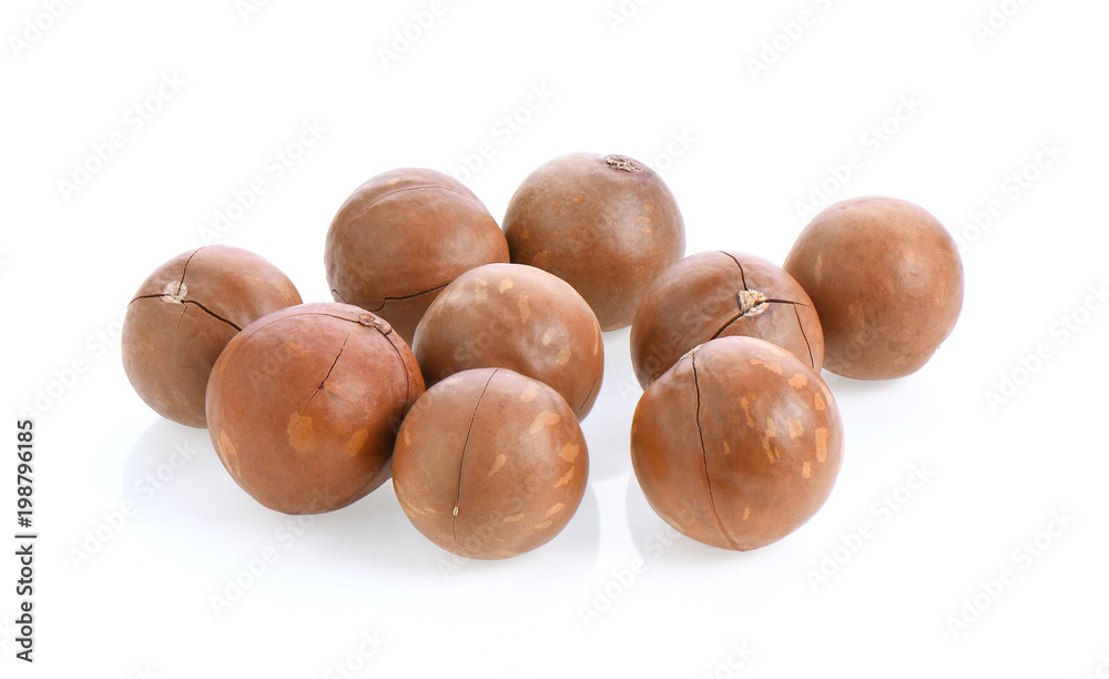 macadamia nuts isolated on white background. macadamia nuts isolated on white background.