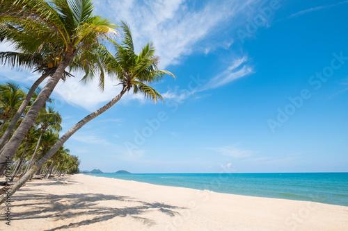 Landscape of coconut palm tree on tropical beach in summer. Summer background concept. © jakkapan