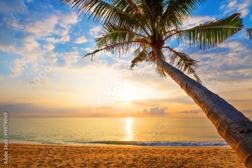 Fototapeta Naklejka Na Ścianę i Meble -  Seascape of beautiful tropical beach with palm tree at sunrise. sea view beach in summer background.