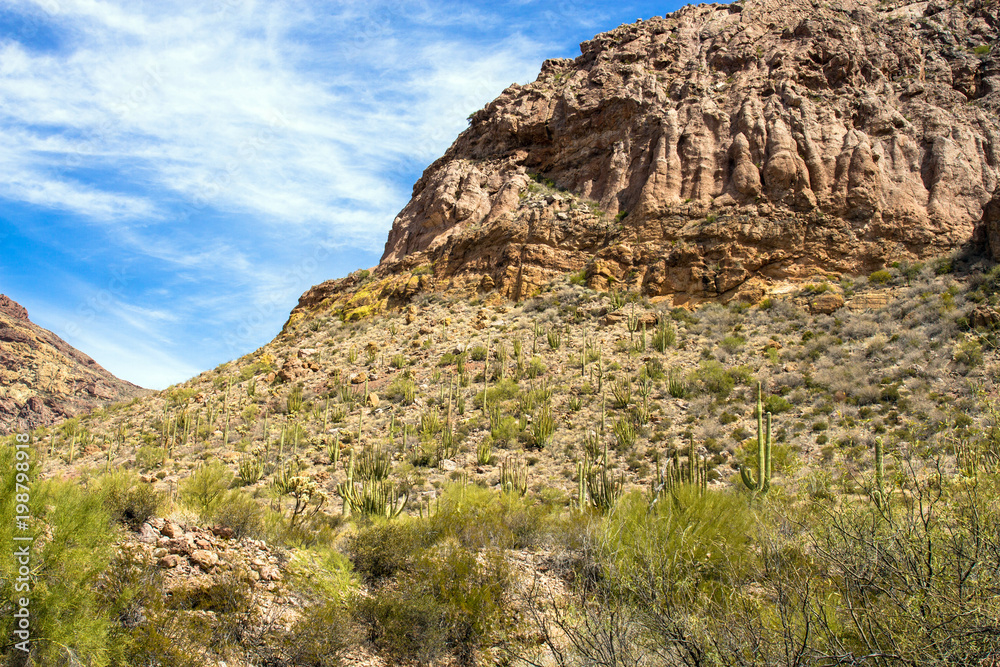 Rugged landscape of the Ajo Mountains in Organ Pipe Cactus National Monument in southern Arizona, as seen from Ajo Mountain Drive Rugged landscape of the Ajo Mountains in Organ Pipe Cactus National Monument in southern Arizona, as seen from Ajo Mountain Drive