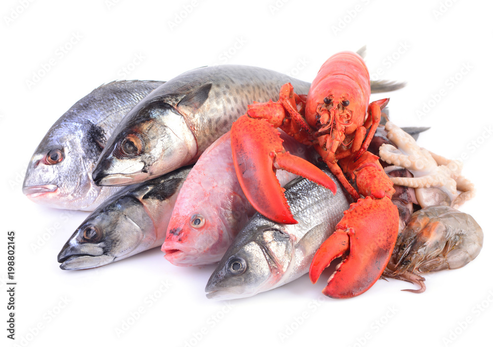 Seafood on a white background