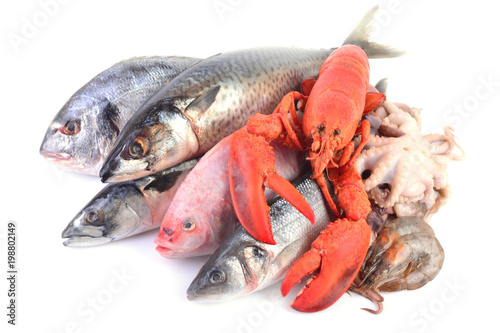 Seafood from different parts of the world