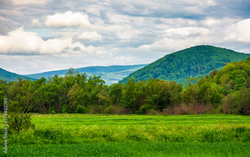 rural fields on a cloudy day