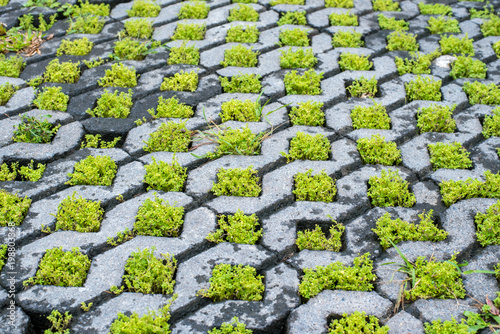 brick block stone floor tile with green grass as background or texture.