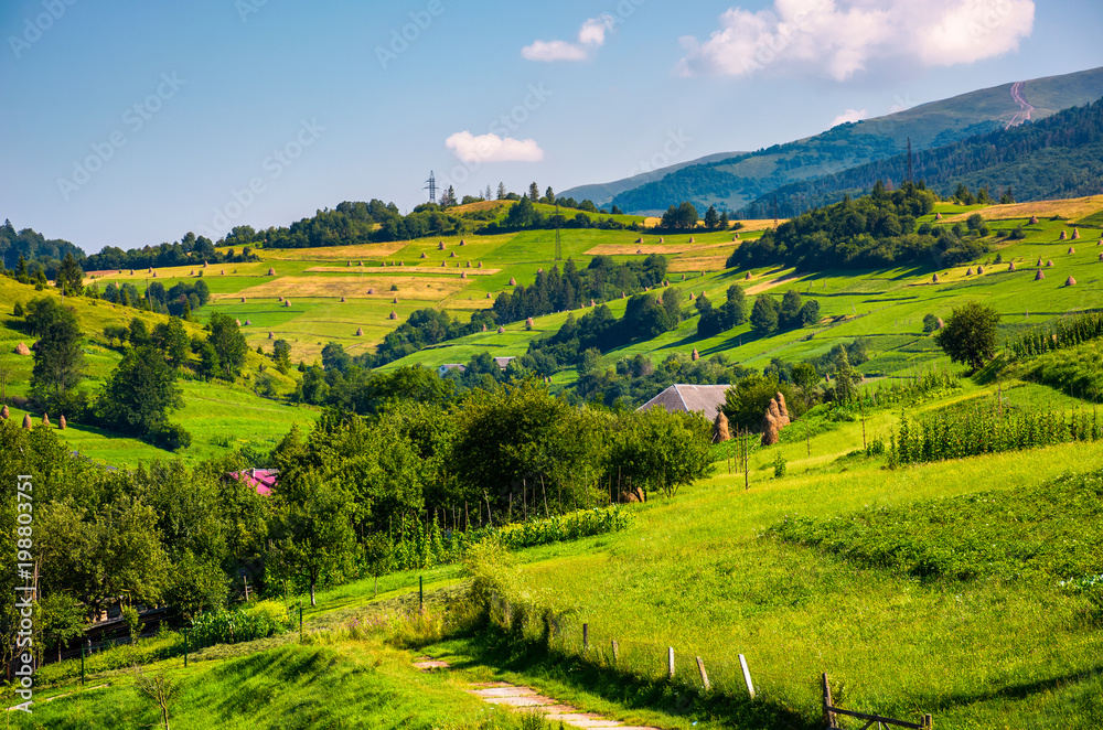 Naklejka premium beautiful countryside in summertime. haystack on grassy hillsides of Carpathian mountain