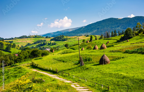 Принти на полотні beautiful countryside in summertime