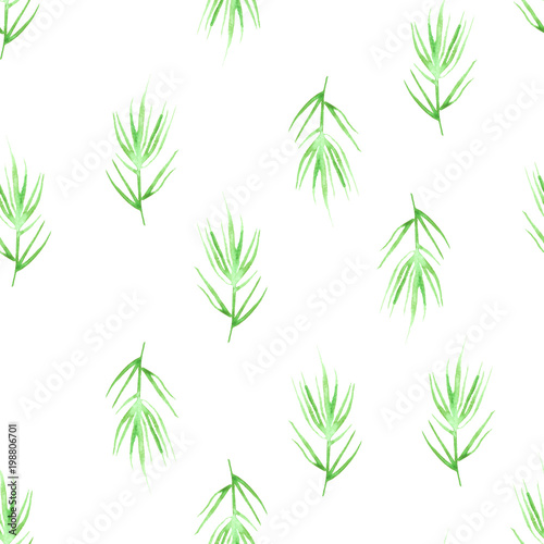 watercolor pattern, seamless background, card with an illustration - wild grasses, algae, twigs, green, branch, basil, sprout, plant, rosemary, spruce, juniper. green drawing of plants 