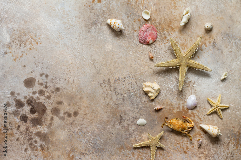 Seashells and starfish border on stone background or slate with copy space. Sea summer vacation background. Top view flat lay background. Seashells and starfish border on stone background or slate with copy space. Sea summer vacation background. Top view flat lay background.