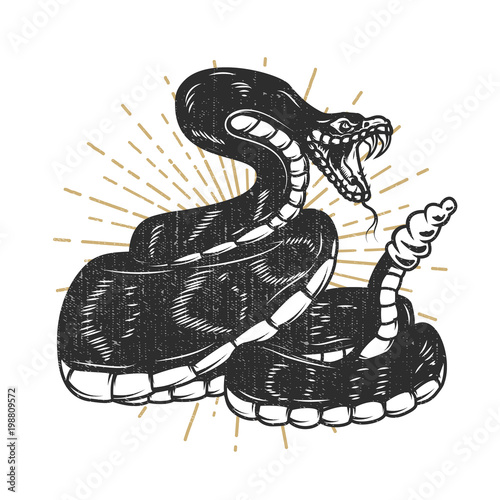 Viper snake illustration. Design element for emblem, sign, poster, t shirt.