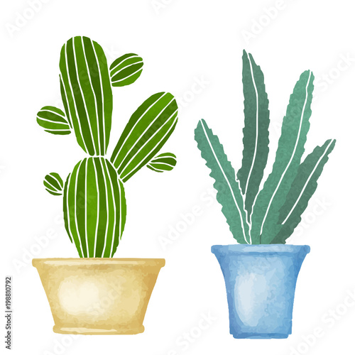 Cacti set, succulents, home flowers, houseplants in flowerpots