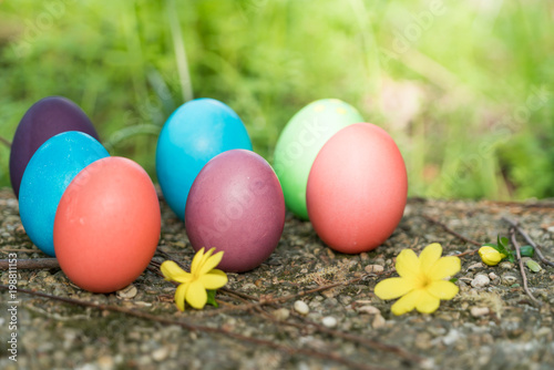 Easter sunday, happy easter, colorful easter eggs hunt holiday decorations easter concept backgrounds with copy space