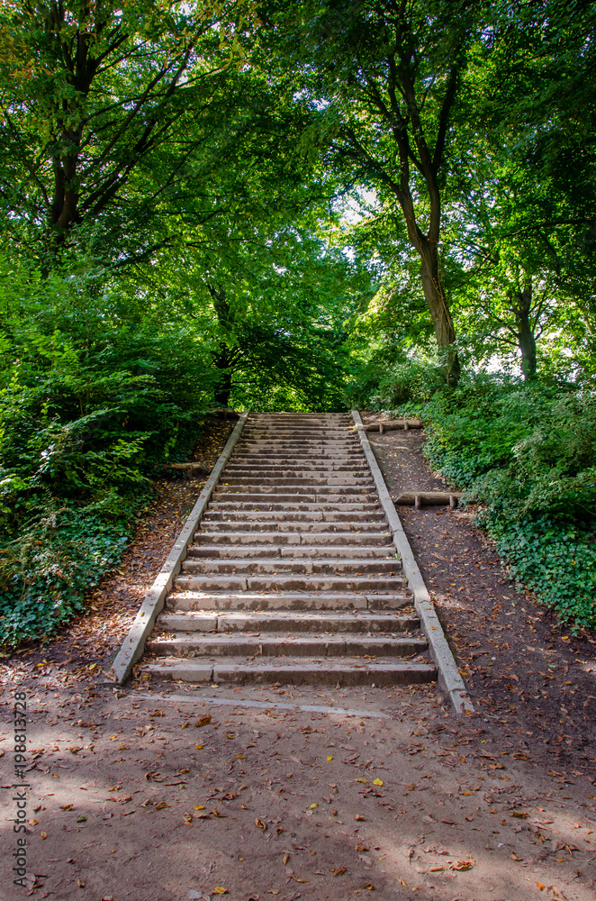 Stairs in the park