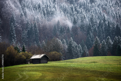 Geroldsee forest during autumn day with first snow and fog over trees, Bavarian Alps, Bavaria, Germany.