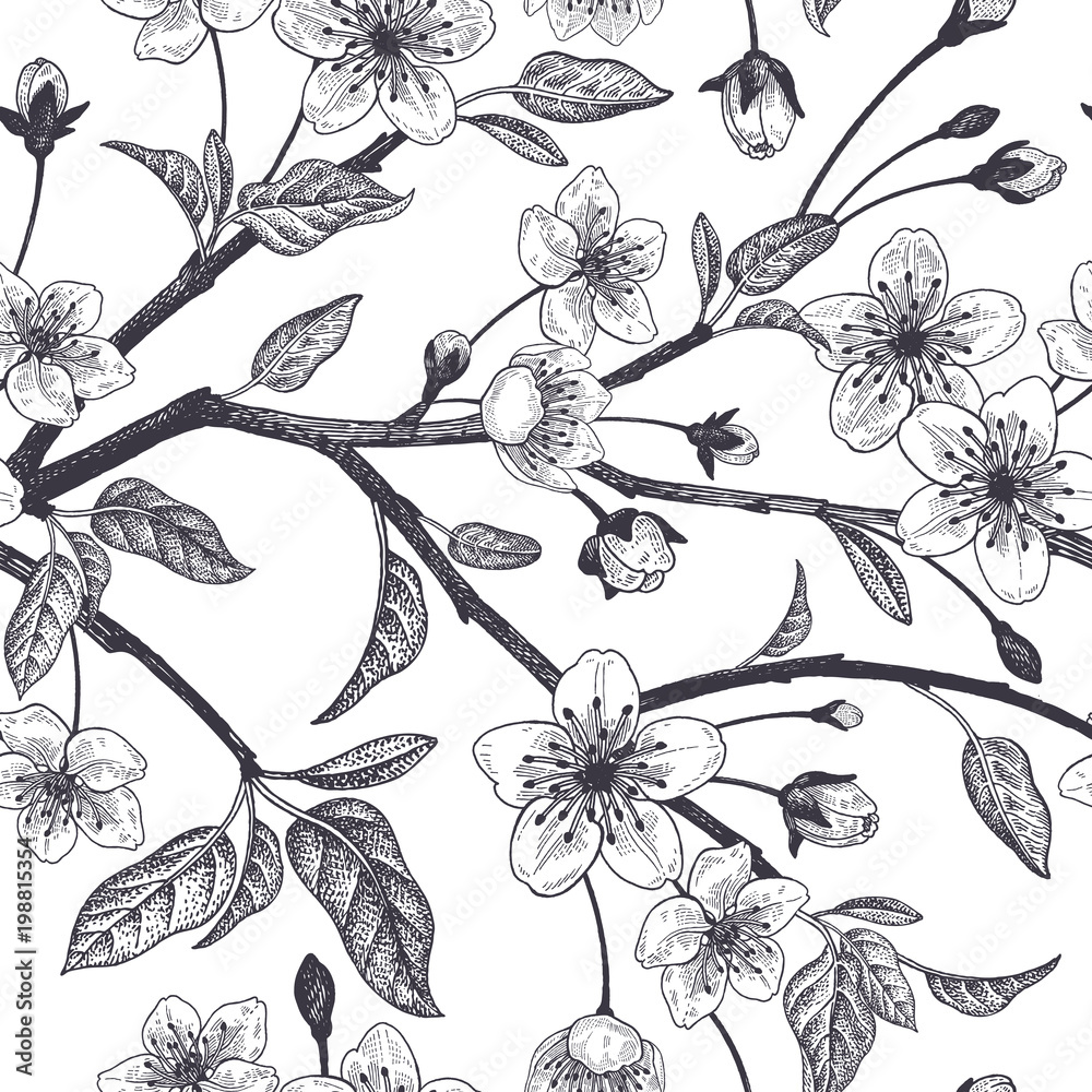 Fototapeta premium Floral vintage seamless pattern with Japanese cherry.