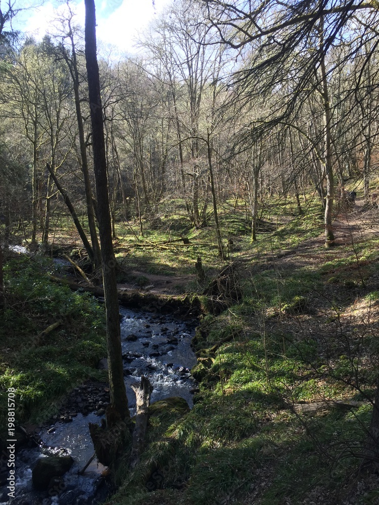 Fairy Glen, Fortrose, Black Isle, Scotland Fairy Glen, Fortrose, Black Isle, Scotland