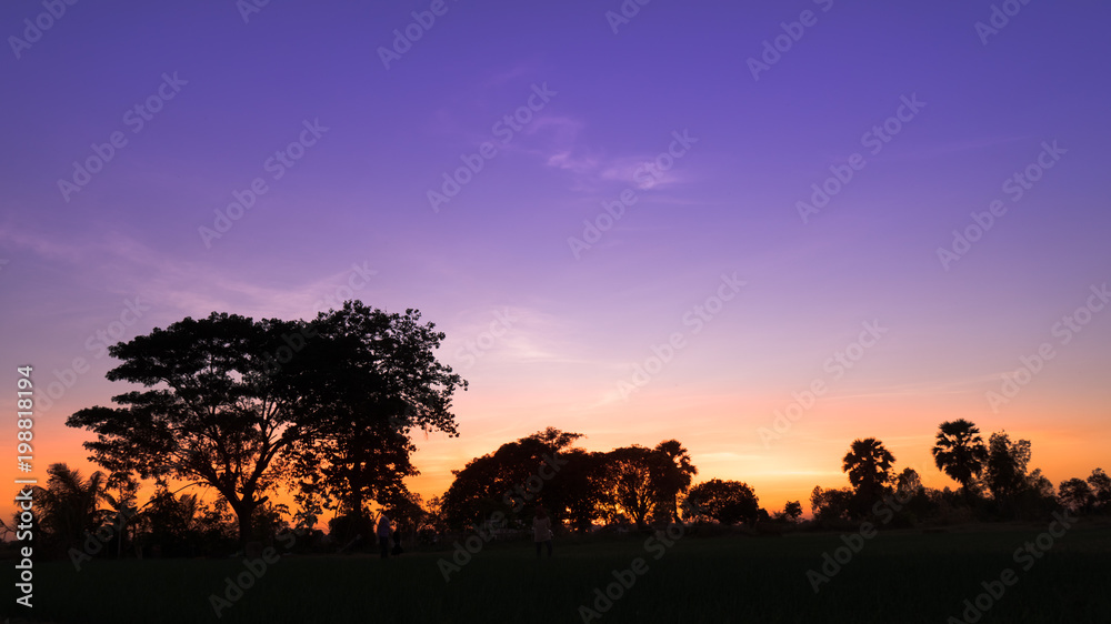 Silhouette of trees on blue sky on the sun set