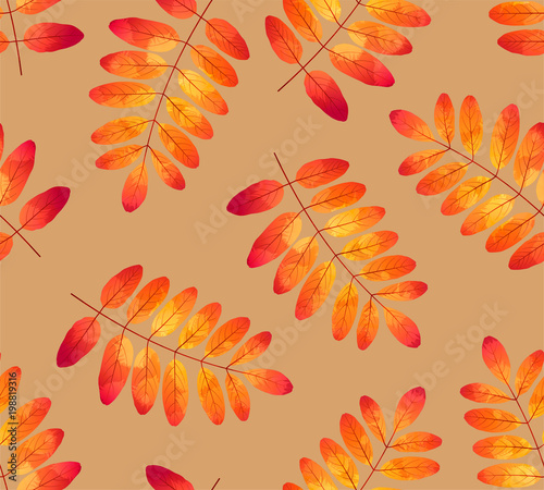 Seamless pattern with watercolor rowan leaves on beige background. Vector illustration.