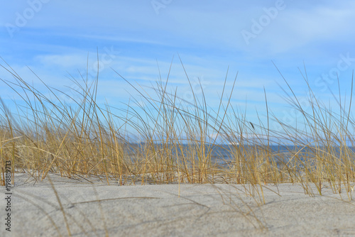 dry grass in the dunes and a sandy beach
