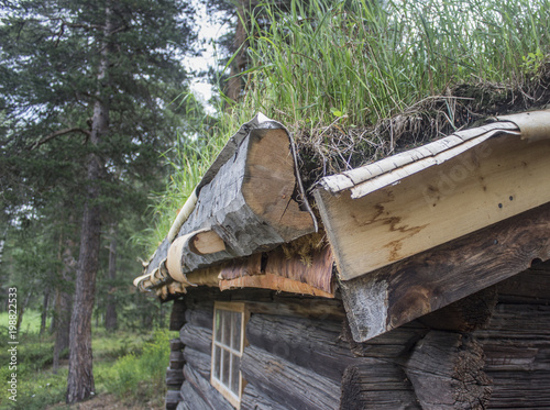 Corner of an old wooden house with an earthen roof in the forest. Norway