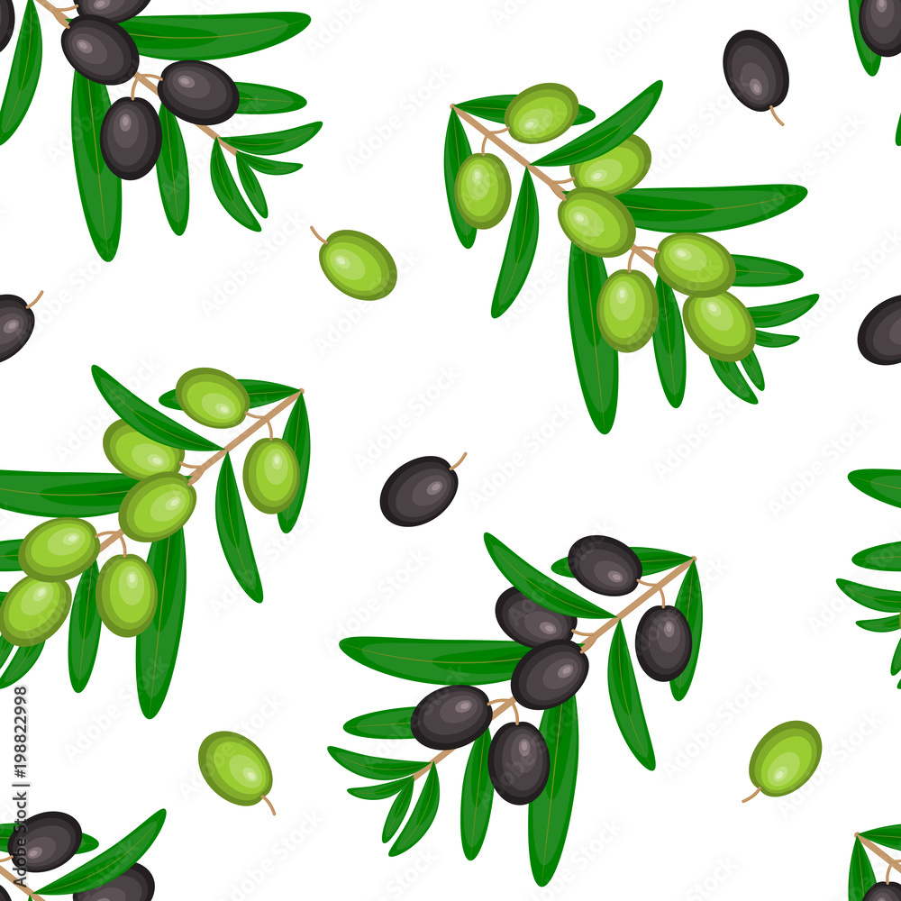 Vector seamless pattern with ripe black and green olives on white. Background design for olive oil, natural cosmetics,textile,wrapping paper Vector seamless pattern with ripe black and green olives on white. Background design for olive oil, natural cosmetics,textile,wrapping paper