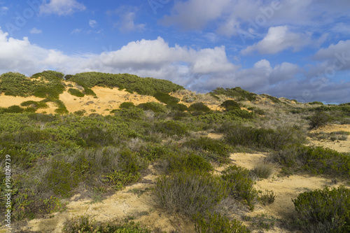 Felsküste am Atlantik im Parque Natural do Sudoeste Alentejano e Costa Vicentina, Algarve, Portugal, Europa