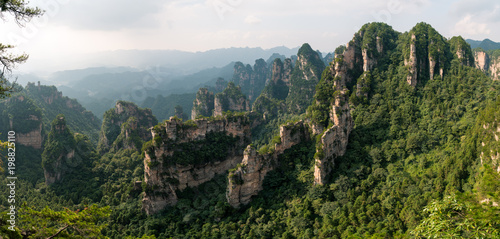 Scenic view of rock formations in Zhangjiajie National Forest Park, China photo