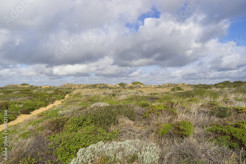 Felsküste am Atlantik im Parque Natural do Sudoeste Alentejano e Costa Vicentina, Algarve, Portugal, Europa photo