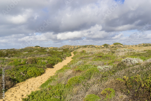 Felsküste am Atlantik im Parque Natural do Sudoeste Alentejano e Costa Vicentina, Algarve, Portugal, Europa photo
