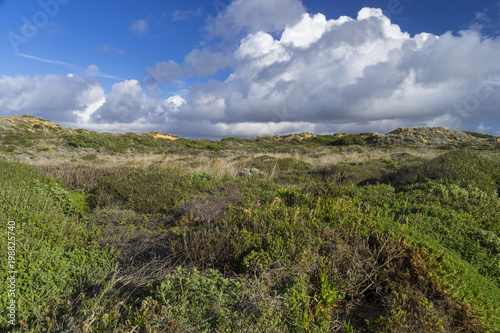 Felsküste am Atlantik im Parque Natural do Sudoeste Alentejano e Costa Vicentina, Algarve, Portugal, Europa © dina