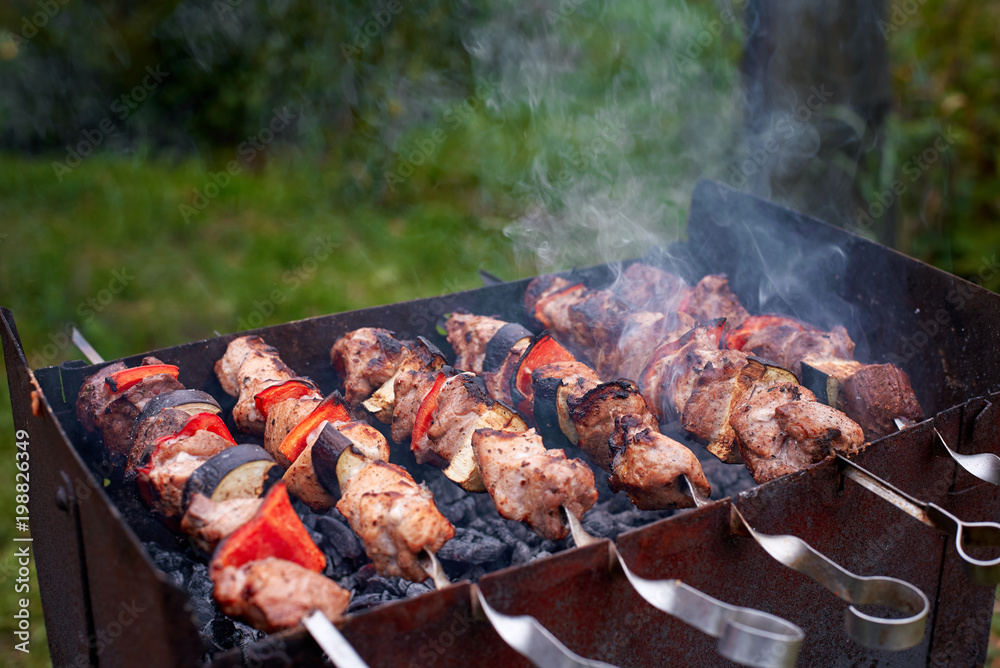 Meat roasting on skewers, summer picnic concept. Meat on skewers cooked on grill. Charcoal grill cooking Meat roasting on skewers, summer picnic concept. Meat on skewers cooked on grill. Charcoal grill cooking