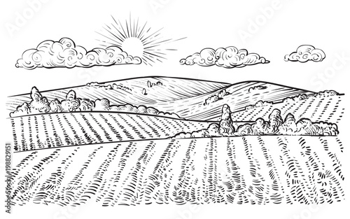 Rural landscape, vector vintage hand drawn illustration.