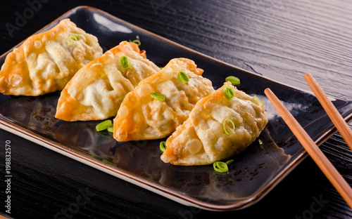 Japanese Fried Gyoza photo