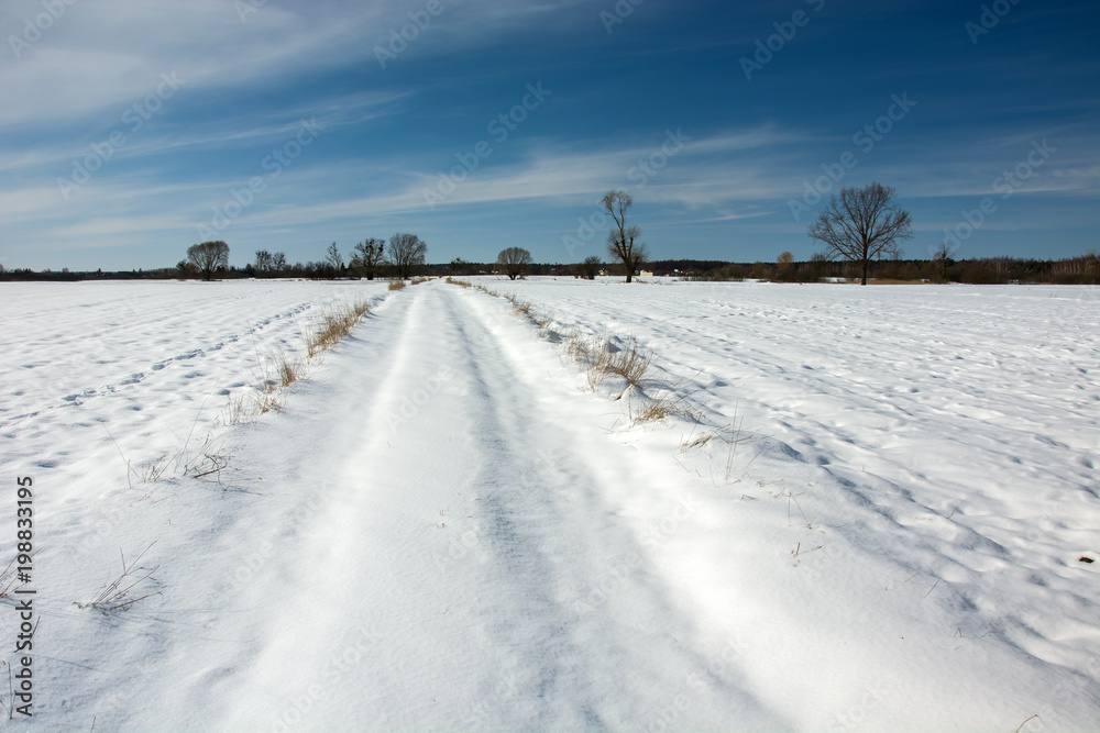 Snow on a long dirt road and trees