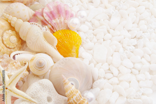 Seashells and pearls on white stones close up