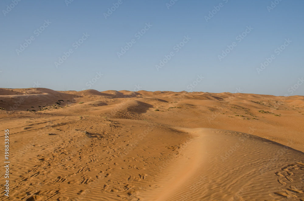 Sand dunes with wind pattern in Wahiba sands desert. Tracks of camels