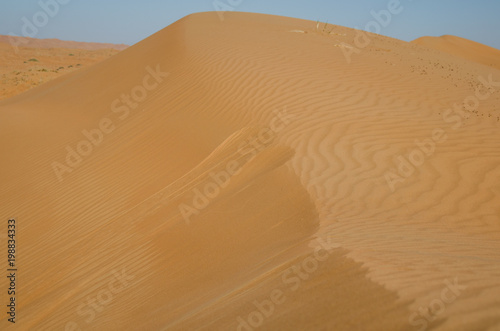 Sand dunes with wind pattern in Wahiba sands desert