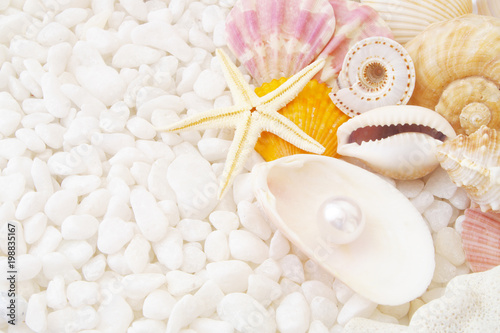 Pearl, starfish and seashells on white stones 