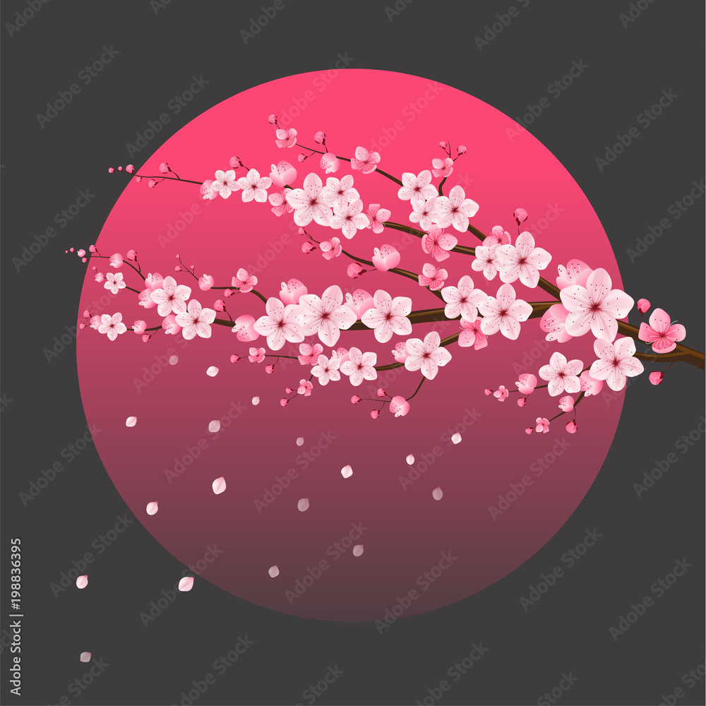 Cherry Blossom, Sakura, Japan, Background, vector illustration. Stock Vector  | Adobe Stock