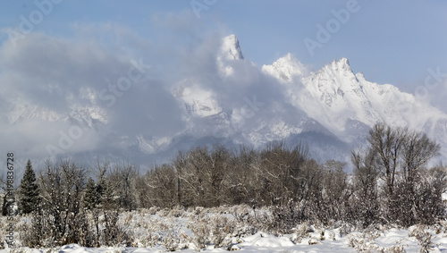 grand teton range emerging from clouds above forest