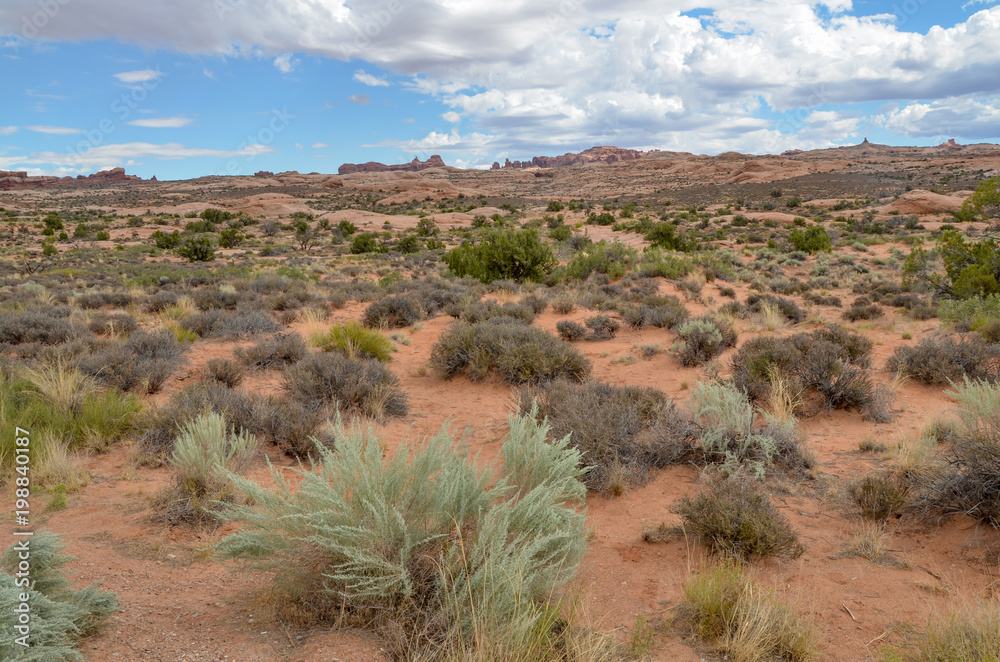 desert and sandstone rocks surrounding Arches scenic drive from Petrified Dunes viewpoint Arches National Park, Moab, Grand County, Utah